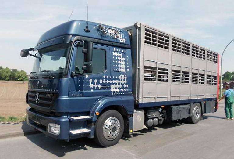 Транспортировка свиней недорого из Улан-Удэ в Хабаровск